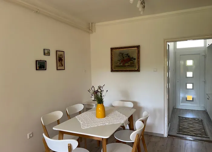 Jo Hely 巴拉顿诺尔马迪